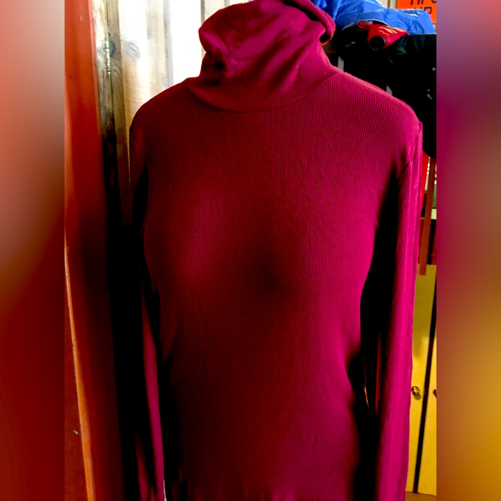 Fabulous Three Dots Ribbed Turtleneck Top!